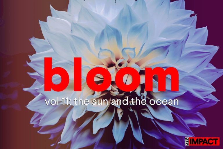 Bloom Vol 11: The Sun and the Ocean